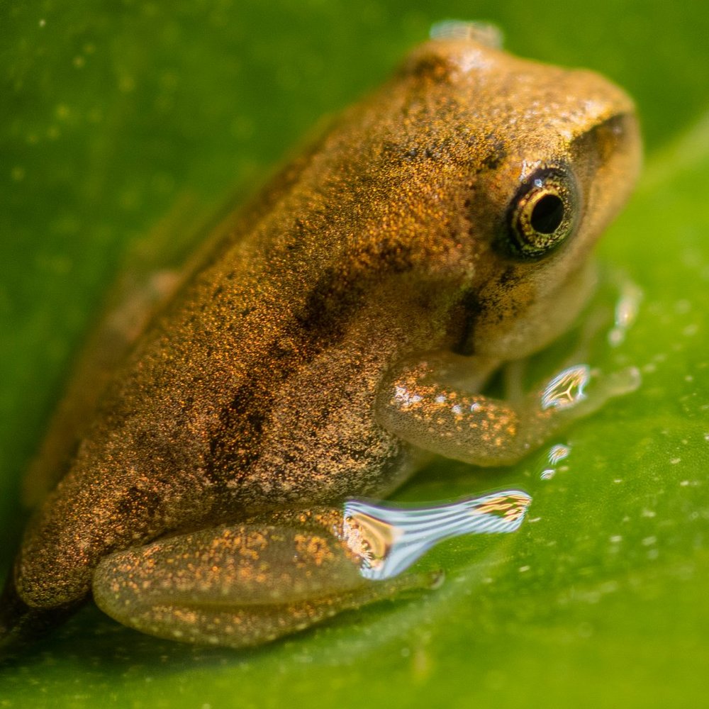 Meet your Posher, Marina